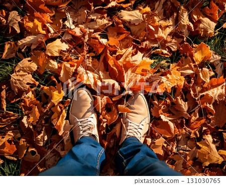 Leaves at your feet 131030765