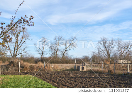 Rustic rural landscape with barren trees and field in early spring under blue 131031277