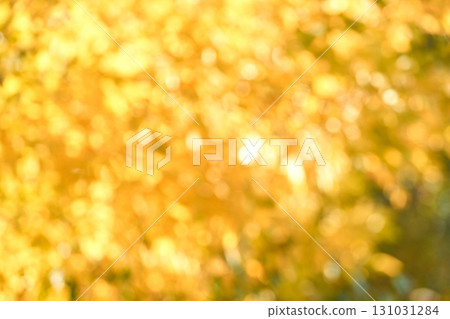 Abstract soft focus autumn foliage with golden yellow bokeh effect background Abstract soft focus autumn foliage with golden yellow bokeh effect background 131031284