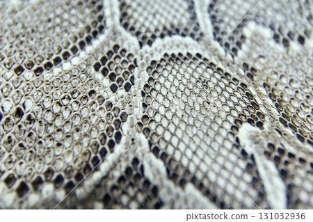 Close-up of textured snake skin pattern with scales in black and white Close-up of textured snake skin pattern with scales in black and white 131032936