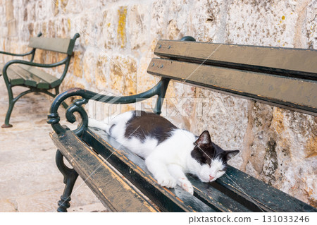 歐洲克羅埃西亞杜布羅夫尼克長椅上睡覺的貓 131033246