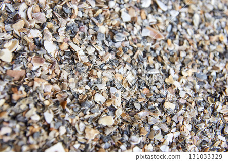 Close-up of crushed seashells on a beach with varied textures and natural 131033329