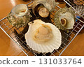 Grilled scallops and turban shells 131033764
