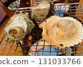 Grilled scallops and turban shells 131033766