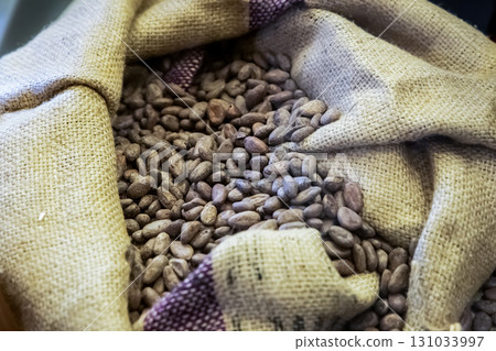 close-up of cocoa beans dried and not peeled 131033997