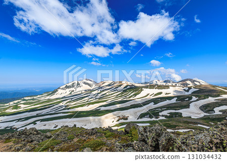 Zebras of Mount Hakuundake, interwoven with greenery and snow 131034432