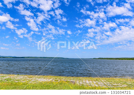 Blue sky, fluffy clouds and cute flowers on the shores of Lake Kutcharo in eastern Hokkaido 131034721