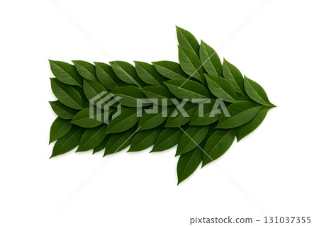 Creative leaf arrangement forming an arrow shape on a white background. 131037355