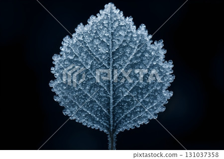A close-up photograph of a frosty leaf, perfectly capturing the intricate crystallization of ice. A close-up photograph of a frosty leaf, perfectly capturing the intricate crystallization of ice. 131037358