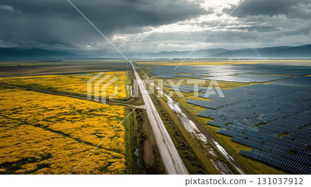 Aerial view of solar farm and yellow field under cloudy sky 131037912
