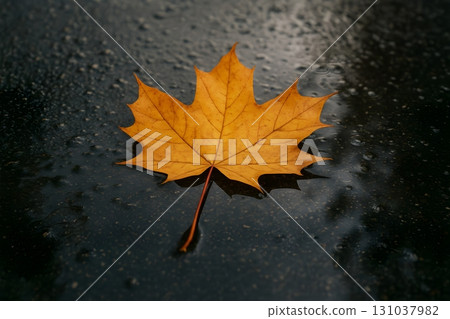 A vivid orange maple leaf rests on a rain-dappled surface, reflecting the essence of autumn. 131037982
