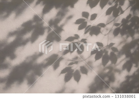 Soft shadows of leaves cast on a beige plaster wall, dappled sunlight forming a calm 131038001