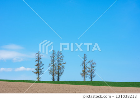 Mild Seven Hill and blue sky in Biei, Hokkaido 131038218