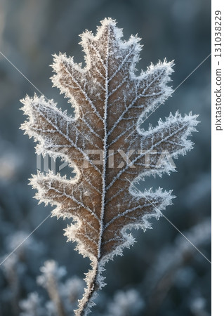 Close-up of a leaf covered in delicate frost, highlighting intricate patterns and textures. 131038229