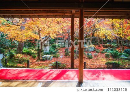 Japanese autumn leaf garden from Enkoji terrace in December, Kyoto Japanese autumn leaf garden from Enkoji terrace in December, Kyoto 131038526