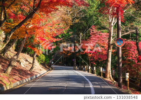 street along colorful maple tree tunnel in autumn, Nara 131038548
