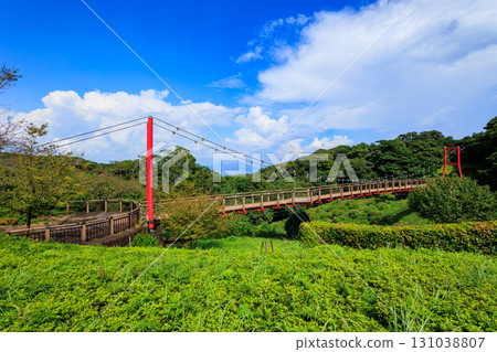 錦江台展望公園天空調色盤、山茶林橋、櫻島 錦江台展望公園天空調色盤、山茶林橋、櫻島 131038807