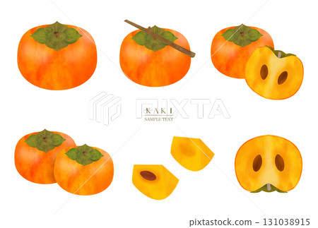 柿子水彩插畫素材集 131038915