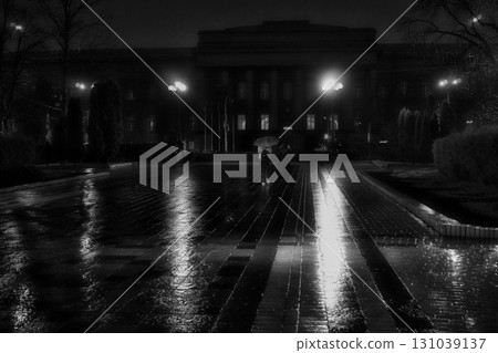 Rainy Night in the Park 131039137