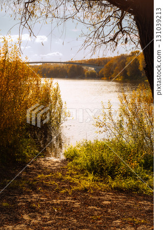 Autumn River Landscape with Colorful Trees and Reflections 131039213