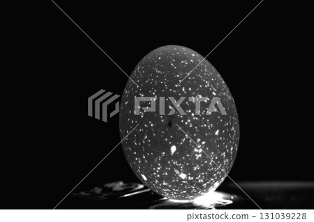 The photograph captures the essence of light and shadow as it plays across eggs 131039228