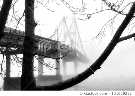 A solitary bridge emerges from the ethereal embrace of mist. 131039252