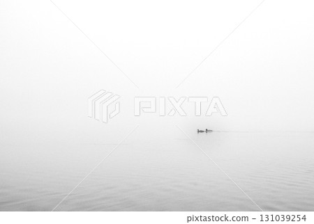 The dense mist obscures the details of the landscape 131039254