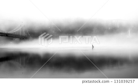 The thick fog lends an air of mystery to the scene. The thick fog lends an air of mystery to the scene. 131039257