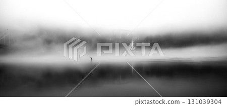 The thick fog lends an air of mystery to the scene. The thick fog lends an air of mystery to the scene. 131039304