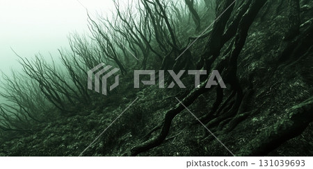 Underwater forest reveals eerie beauty in murky depths 131039693