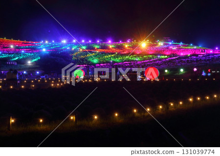 Romantic Ibaraki (Looking up at the hill from Miharashi-no-Sato, you can see the Rainbow Bridge.) Hitachi Seaside Park illumination Romantic Ibaraki (Looking up at the hill from Miharashi-no-Sato, you can see the Rainbow Bridge.) Hitachi Seaside Park illumination 131039774