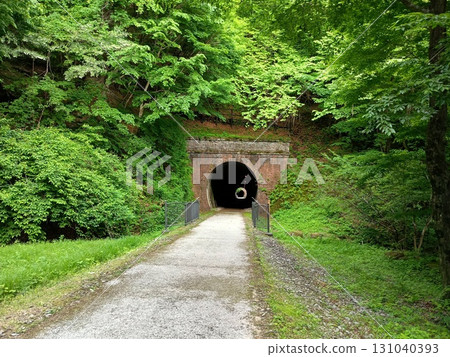 Old tunnel entrance in the forest Old tunnel entrance in the forest 131040393