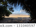 View from the beach near Kula Bridge on Iriomote Island, Okinawa, August 131040597