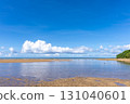 View from the beach near Kula Bridge on Iriomote Island, Okinawa, August 131040601