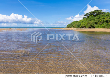 View from the beach near Kula Bridge on Iriomote Island, Okinawa, August 131040608