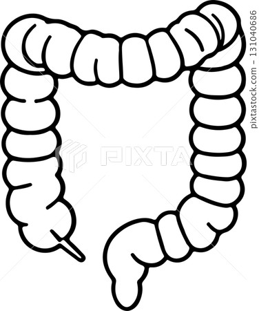 具有透明背景的大腸線圖示向量圖像 具有透明背景的大腸線圖示向量圖像 131040686