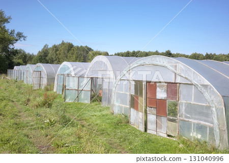 Greenhouses on an organic vegetable farm. Greenhouses on an organic vegetable farm. 131040996