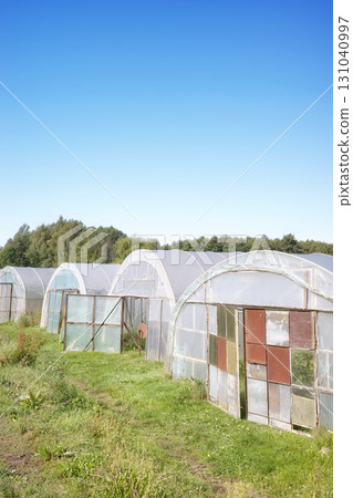 Greenhouses on an organic vegetable farm. Greenhouses on an organic vegetable farm. 131040997
