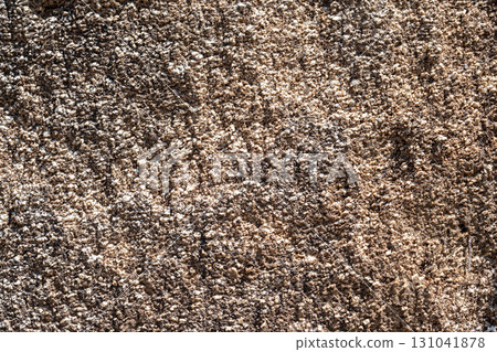 Fragment of a rocky surface. Fragment of a rocky surface. 131041878