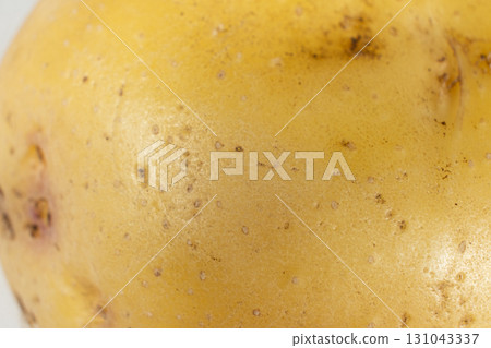 Detailed Texture Of Raw Organic Potatoes Top View 131043337