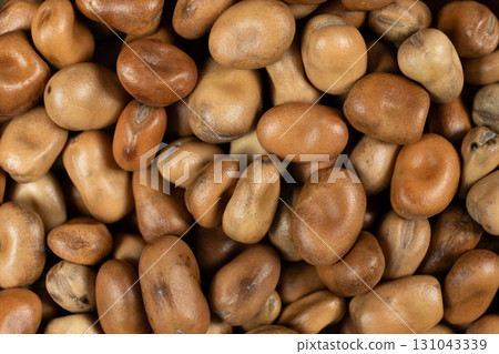 Edible Horse Garden Beans Vicia Faba Macro Top View 131043339