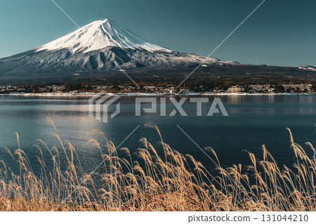 Lake Kawaguchi and Mount Fuji in winter with dry grass swaying 131044210