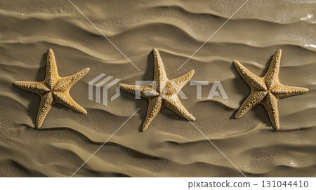 Group of starfish rests peacefully on a soft sandy beach in clear shallow water, showcasing the beauty of coastal marine life and tropical biodiversity in a tranquil ocean habitat 131044410
