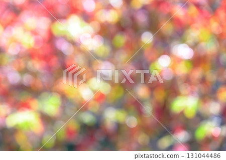 Out-of-focus dogwood leaves mixed with green leaves [Circular bokeh] [Bokeh] 131044486