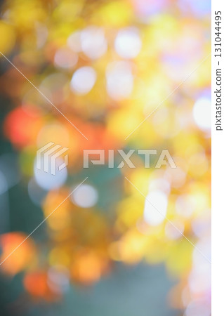 Out-of-focus maple leaves [Circular bokeh] [Bokeh] 131044495