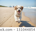 Adorable puppy running along shoreline with splashing waves. Ideal for pet care products, social media content, and heartwarming designs. Captures playful innocence 131044854