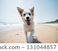 Joyful light-colored dog running on sandy beach with ocean waves. Perfect for pet brands, vacation ads, and happy lifestyle content. Exudes energy and freedom 131044857