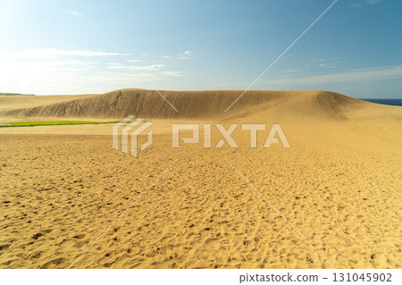 Tottori sand dunes 131045902