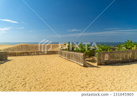 鳥取沙丘 131045905