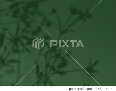 Floral shadow on a green background. A beautiful green image features a detailed pastel soft silhouette of plant shadows against a smooth, complementary backdrop, creating a tranquil and natural scene Floral shadow on a green background. A beautiful green image features a detailed pastel soft silhouette of plant shadows against a smooth, complementary backdrop, creating a tranquil and natural scene 131045920